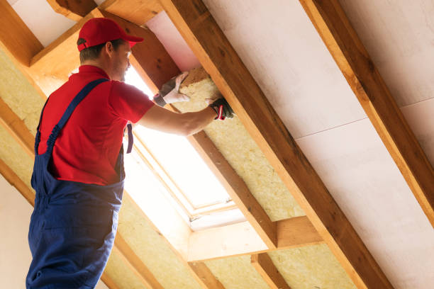 Types of Insulation We Offer in Taft, FL